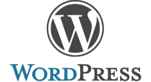wordpress-web-tasarim-tektash-digital